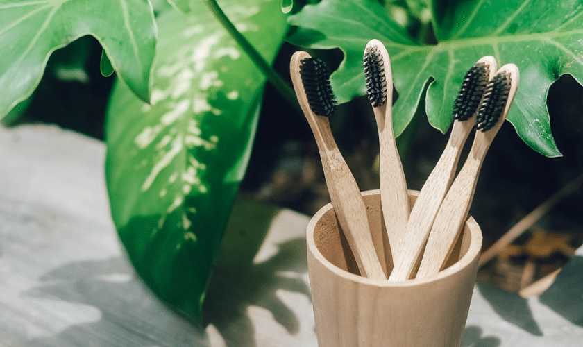 Benefits Of Bamboo Toothbrushes For Better Oral Health